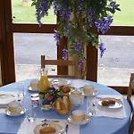 Restaurant Relais De Ile Napoléon Mulhouse Hotel Rixheim