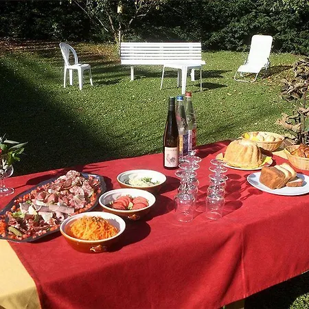 호텔 Restaurant Relais De Ile Napoleon Mulhouse 3*
