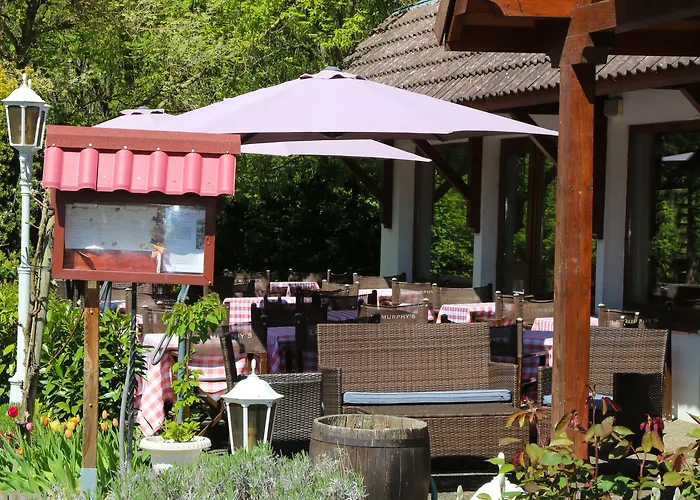 Restaurant Relais De Ile Napoleon Mulhouse מלון