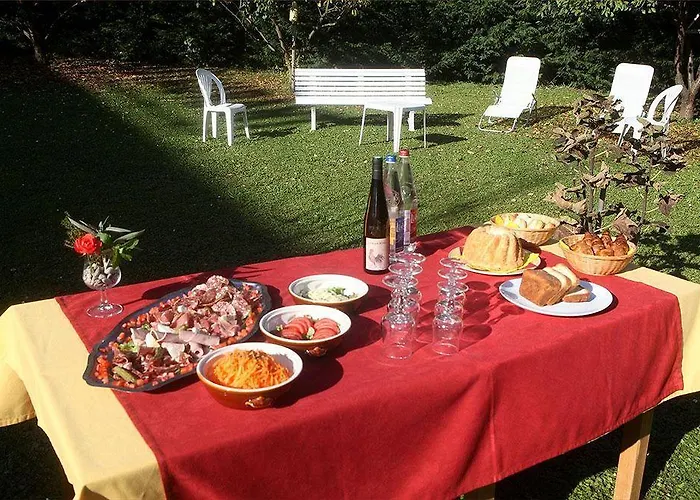 מלון Restaurant Relais De Ile Napoleon Mulhouse 3*